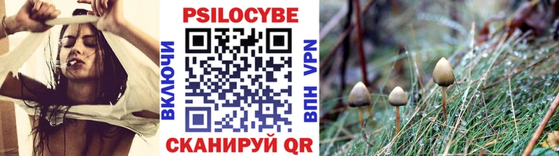 Галлюциногенные грибы ЛСД  закладки  Шенкурск 